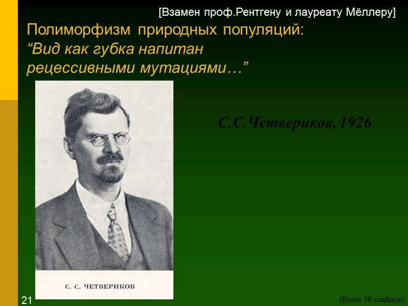 С.С.Четвериков, 1926  Полиморфизм природных популяций: “Вид как губка напитан  рецессивными мутациями…” [Взамен